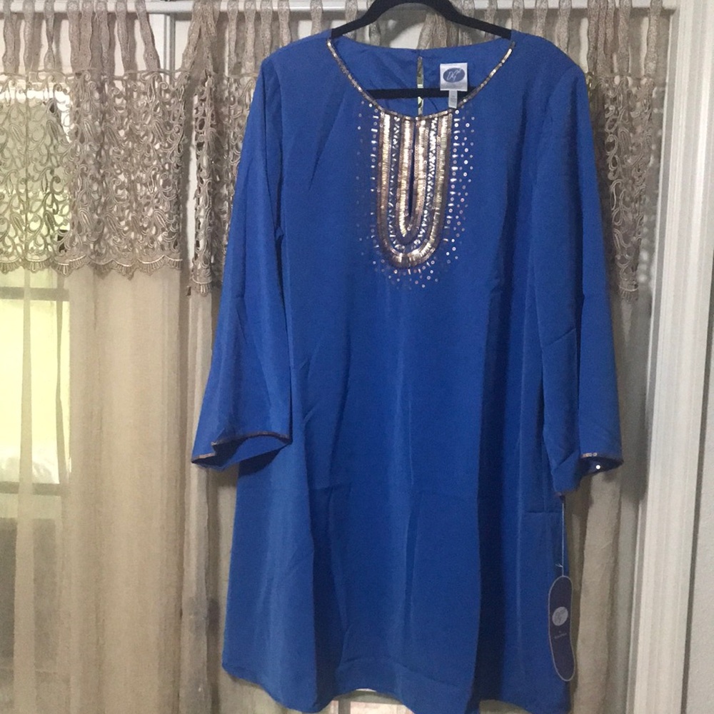 🐞DG2 by Diane Gilman Sequined Plus Dress